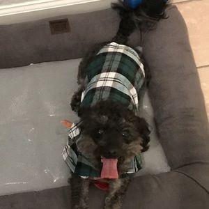 Meet your Posher, Karla